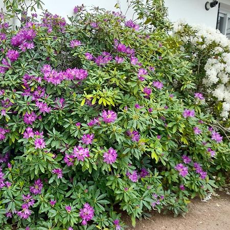 Les Abelias Bed & Breakfast Hauterive  ภายนอก รูปภาพ