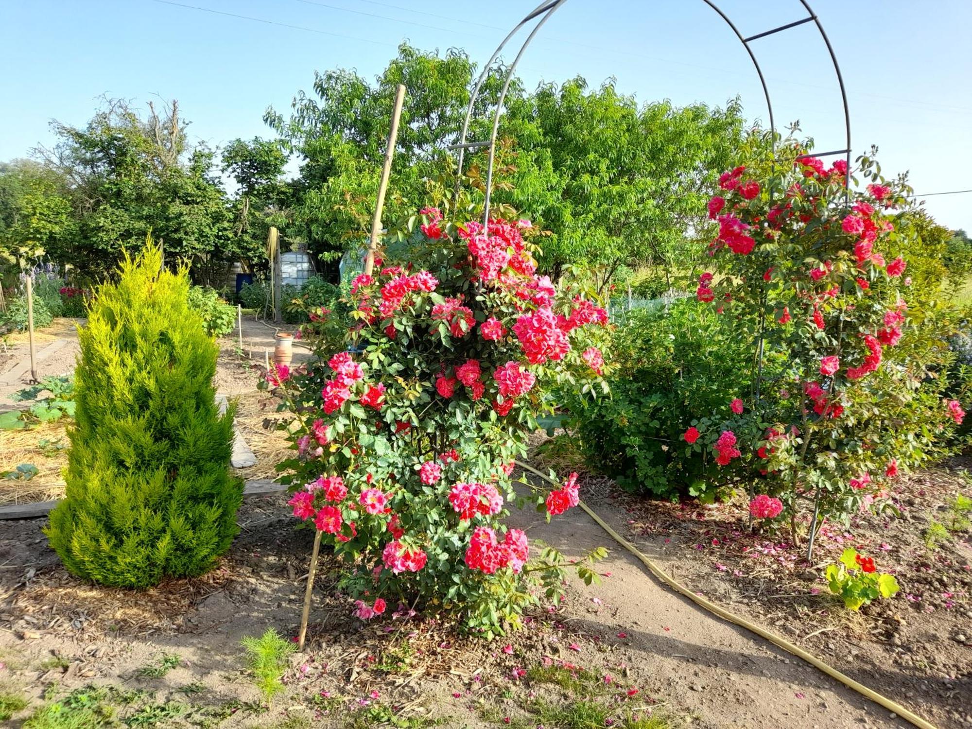Les Abelias Bed & Breakfast Hauterive  ภายนอก รูปภาพ