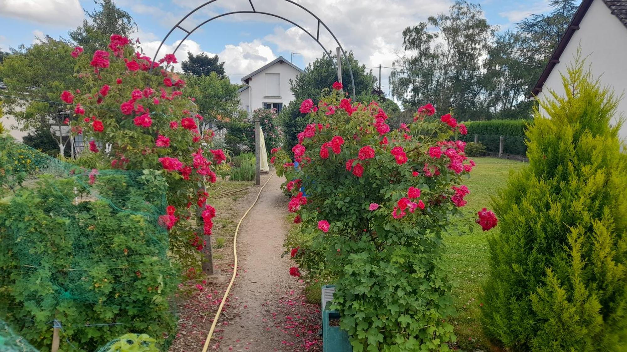 Les Abelias Bed & Breakfast Hauterive  ภายนอก รูปภาพ
